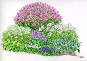 101張超高清精品手繪花境，驚艷你的視覺(jué) 下 化妝品