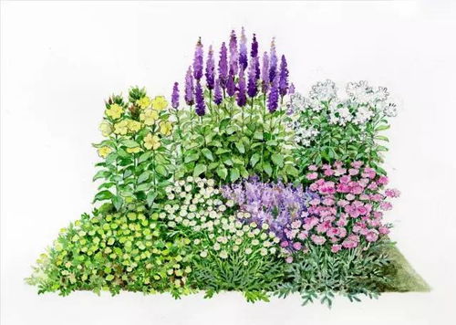 101張超高清精品手繪花境，驚艷你的家居視覺(jué)體驗(yàn)