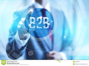 頭部B2B網站推薦指南 互聯網信息技術服務領域的精選之選