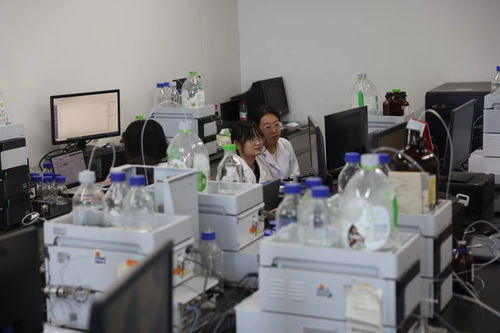 2024全國(guó)重點(diǎn)網(wǎng)絡(luò)媒體龍江行丨黑龍江中醫(yī)藥大學(xué)重點(diǎn)實(shí)驗(yàn)室 科技創(chuàng)新主力軍，助力新質(zhì)生產(chǎn)力與網(wǎng)絡(luò)科技服務(wù)融合發(fā)展